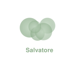 sallvatorre.top favicon